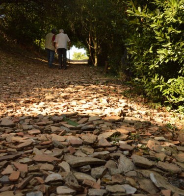 Monte Testaccio - Visita guidata con apertura straordinaria