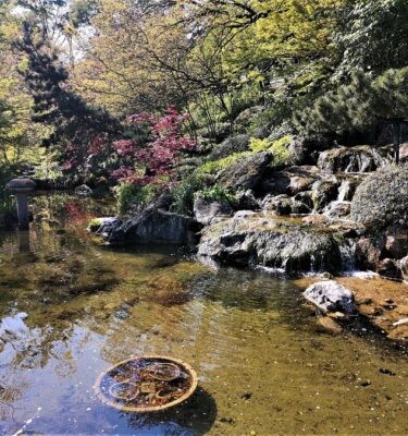 Orto Botanico - Visita guidata