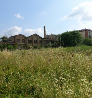 Quartiere Marconi - Slowtour a piedi